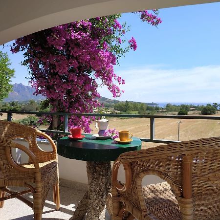 Tertenìa Vacanza In Ogliastra מראה חיצוני תמונה
