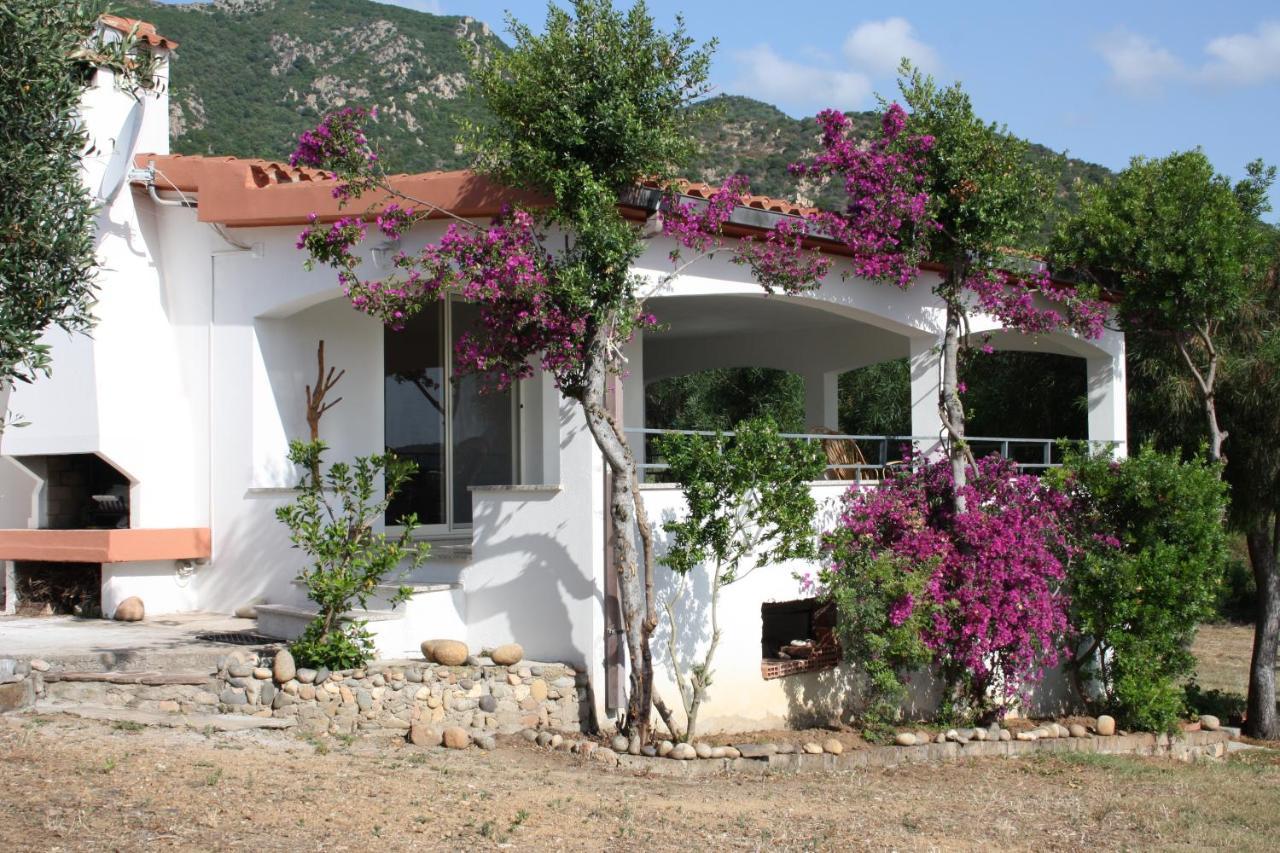 Tertenìa Vacanza In Ogliastra מראה חיצוני תמונה