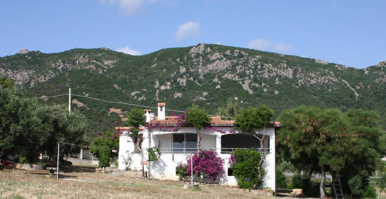 Tertenìa Vacanza In Ogliastra מראה חיצוני תמונה