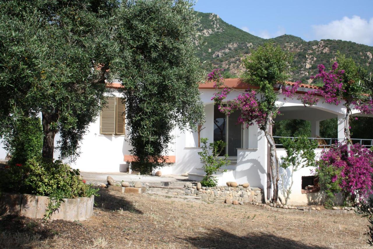 Tertenìa Vacanza In Ogliastra מראה חיצוני תמונה
