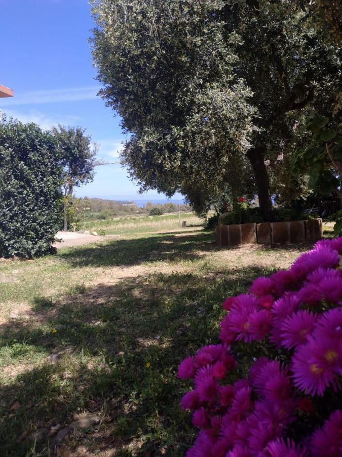 Tertenìa Vacanza In Ogliastra מראה חיצוני תמונה