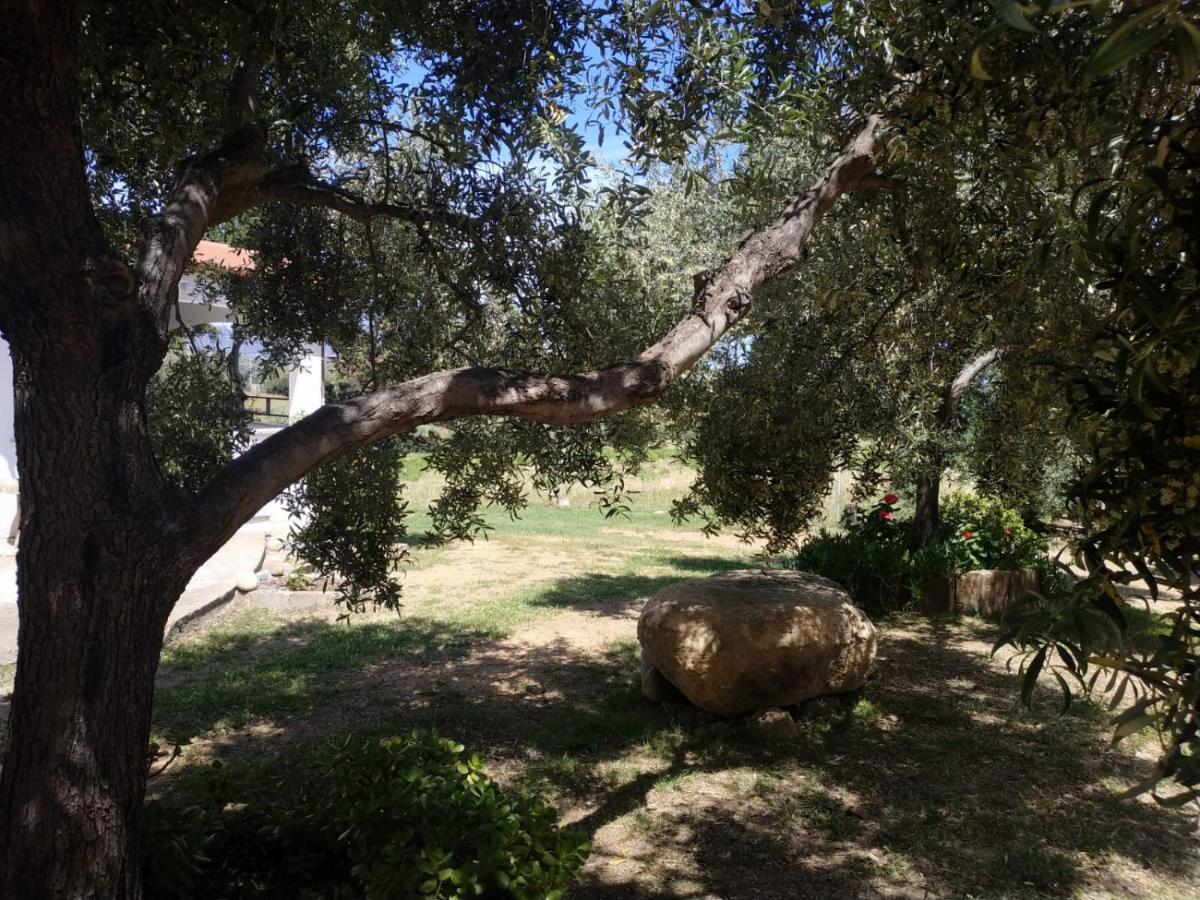 Tertenìa Vacanza In Ogliastra מראה חיצוני תמונה